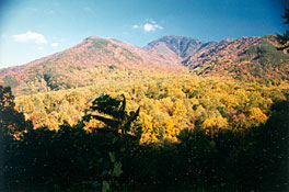 Great Smoky Mountains of Tennessee - Gatlinburg, Pigeon Forge, Sevierville